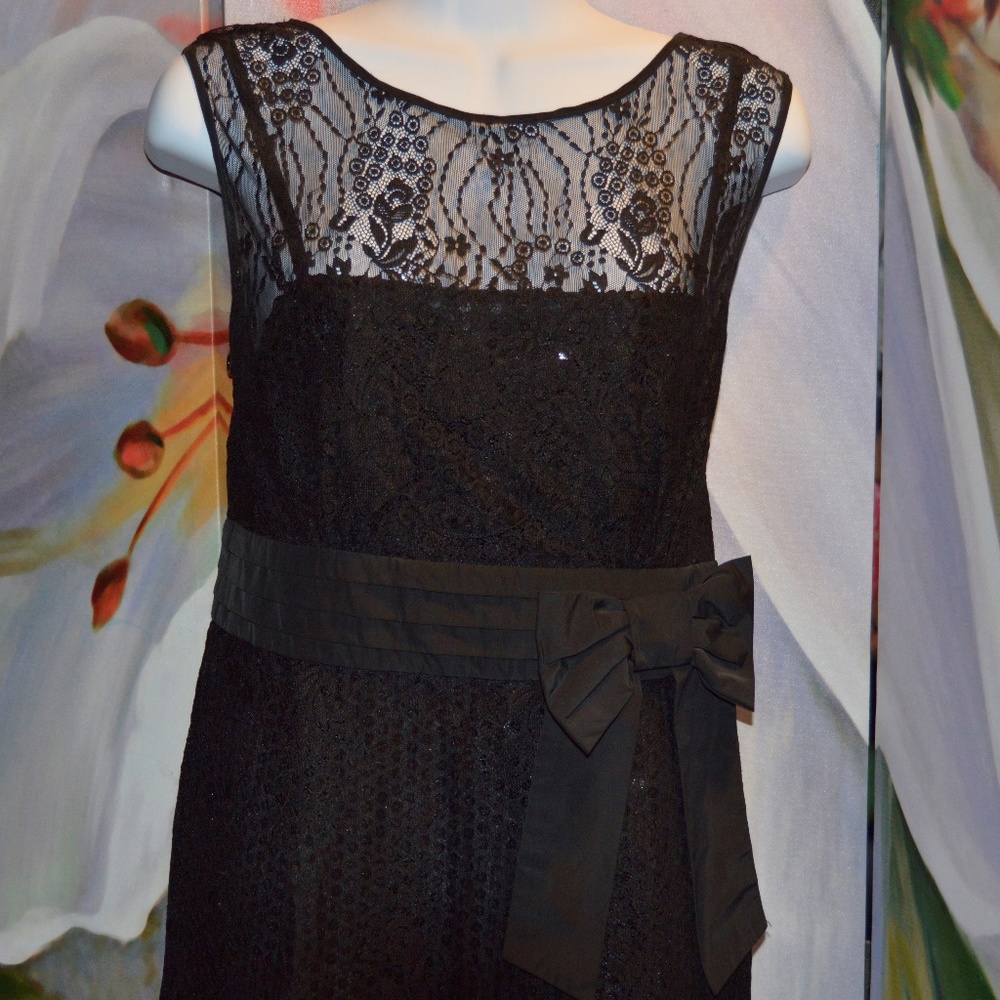 Lace and sequance dress